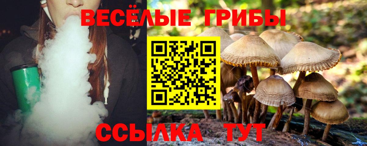 Псилоцибиновые грибы Cubensis Отрадное